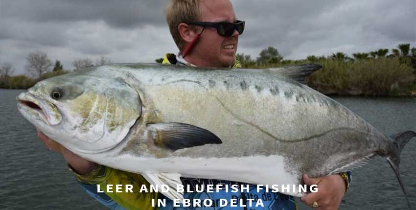 Leer fishing and bluefish fishing in Spain
